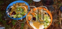 336
