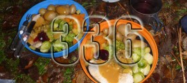 336