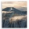 Year in cairngorms