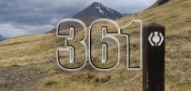 361