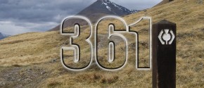 361