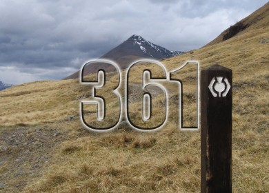 361