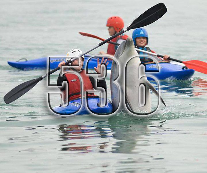 No 536 – Clear Access Clear Waters